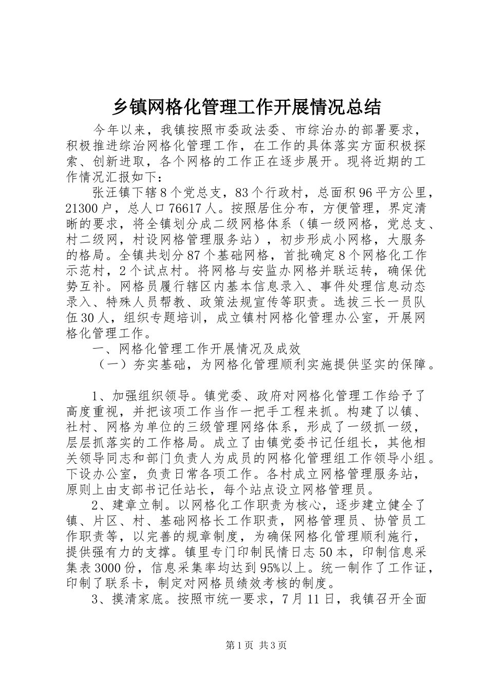 2024年乡镇网格化管理工作开展情况总结_第1页