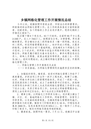 2024年乡镇网格化管理工作开展情况总结