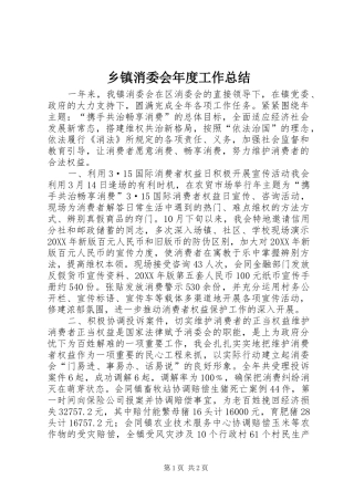 2024年乡镇消委会年度工作总结