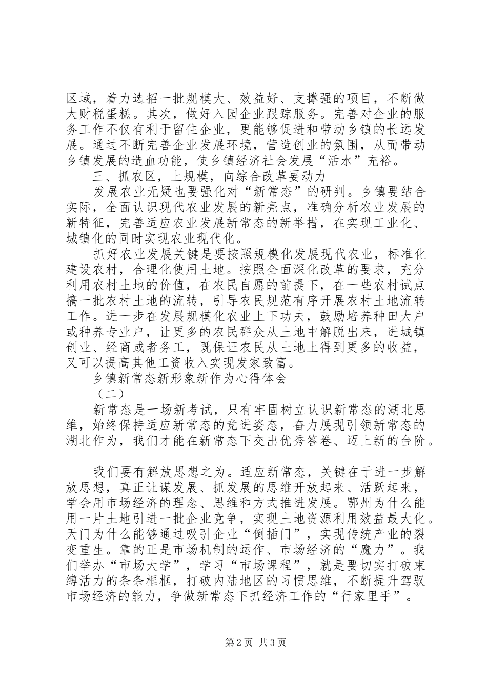 2024年乡镇新常态新形象新作为心得体会范文_第2页