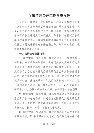 2024年乡镇信息公开工作自查报告