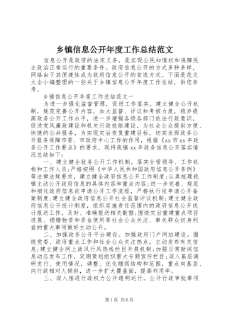2024年乡镇信息公开年度工作总结范文
