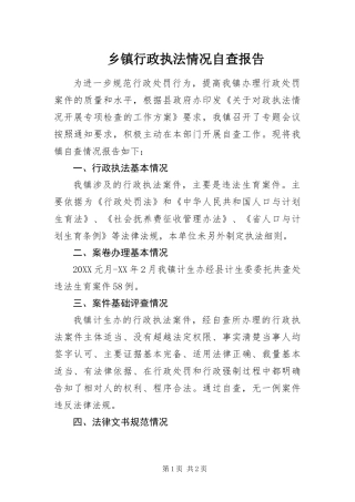 2024年乡镇行政执法情况自查报告