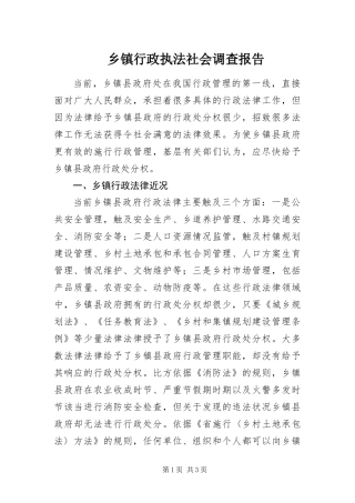2024年乡镇行政执法社会调查报告