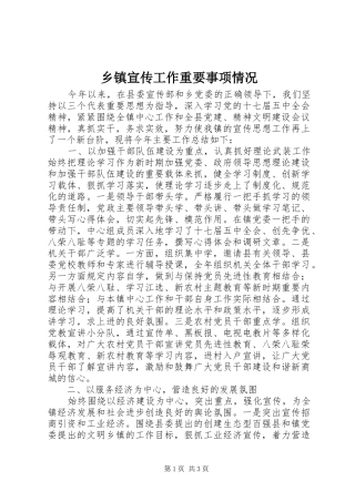 2024年乡镇宣传工作重要事项情况