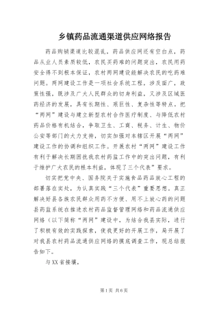 2024年乡镇药品流通渠道供应网络报告