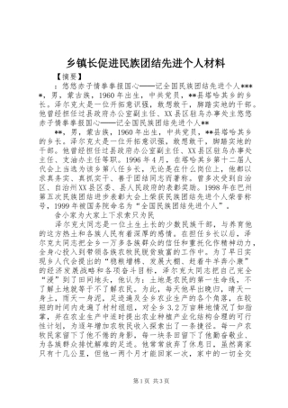2024年乡镇长促进民族团结先进个人材料