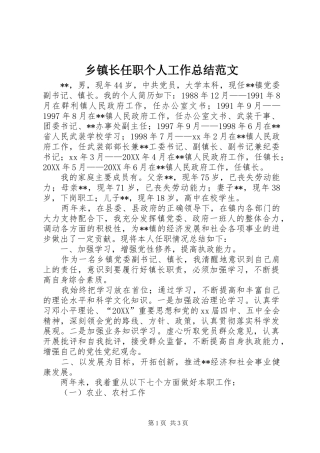 2024年乡镇长任职个人工作总结范文