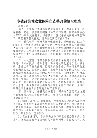 2024年乡镇政策性农业保险自查整改的情况报告