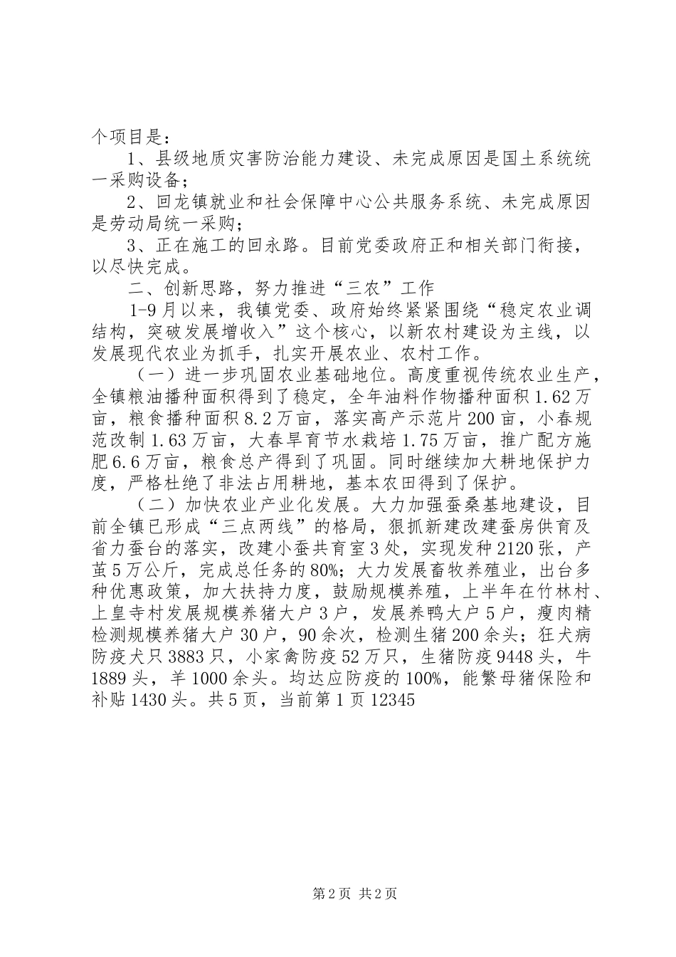 2024年乡镇政府下半年工作总结及年末工作计划_第2页