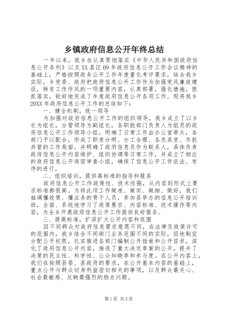 2024年乡镇政府信息公开年终总结
