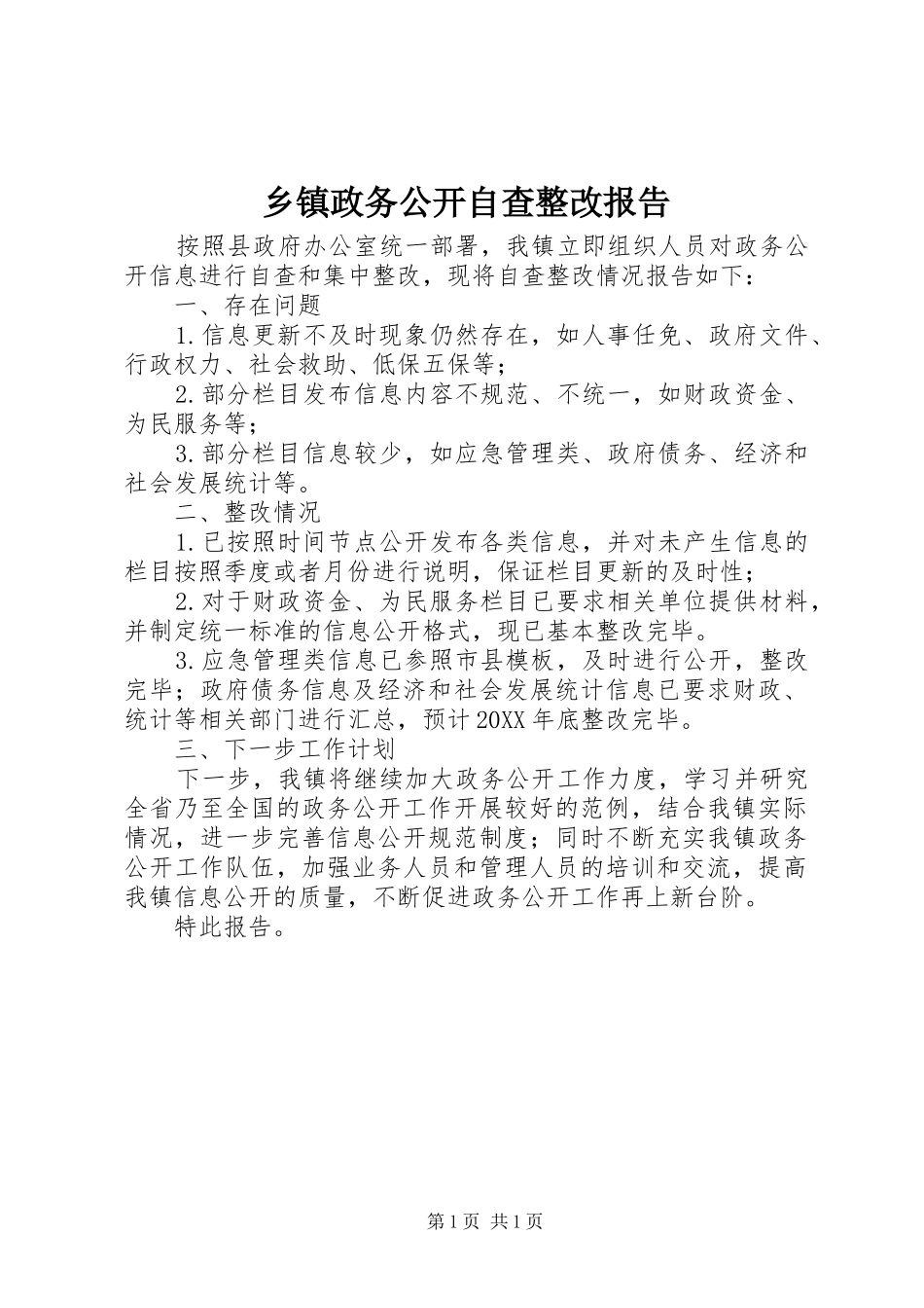 2024年乡镇政务公开自查整改报告_第1页