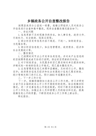 2024年乡镇政务公开自查整改报告