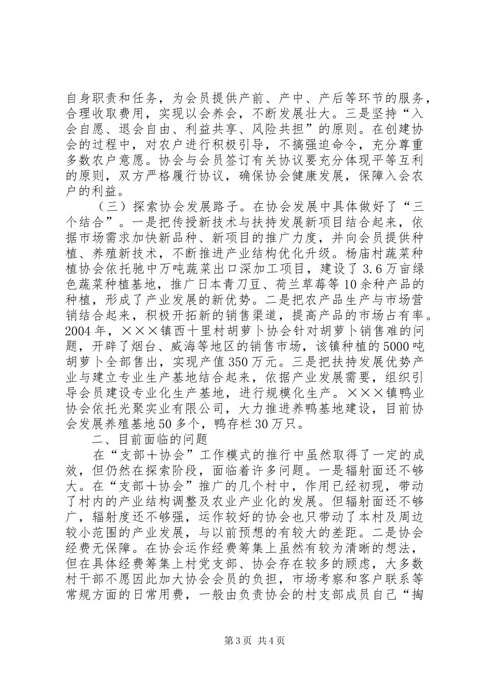 2024年乡镇支部协会工作情况汇报_第3页