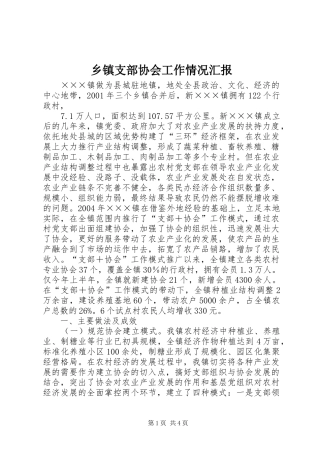 2024年乡镇支部协会工作情况汇报