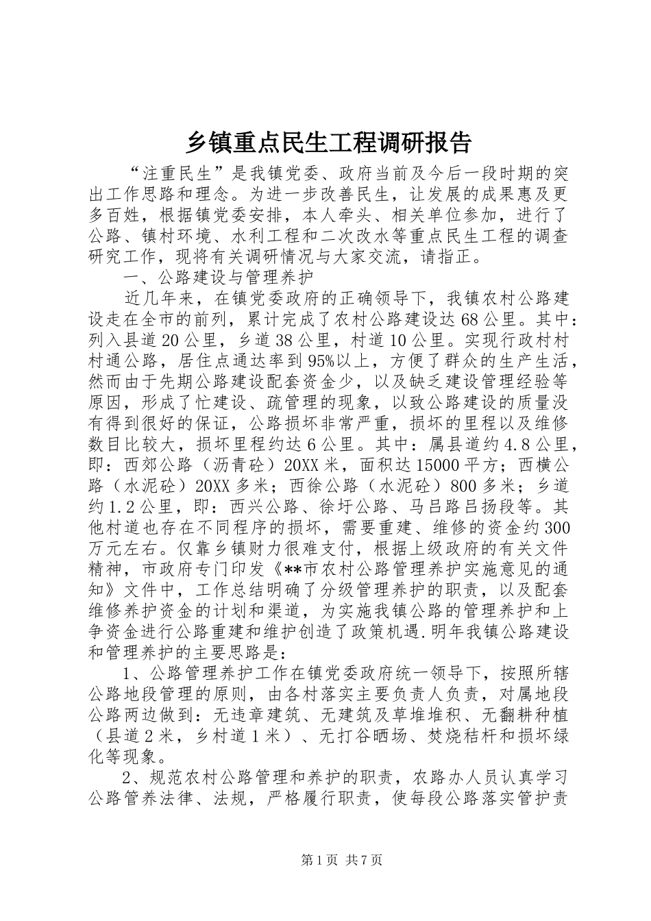 2024年乡镇重点民生工程调研报告_第1页