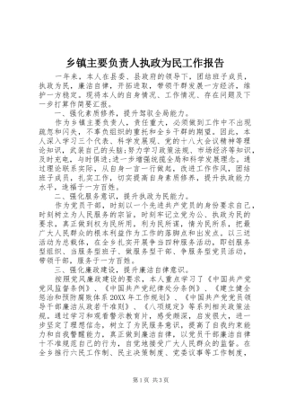 2024年乡镇主要负责人执政为民工作报告