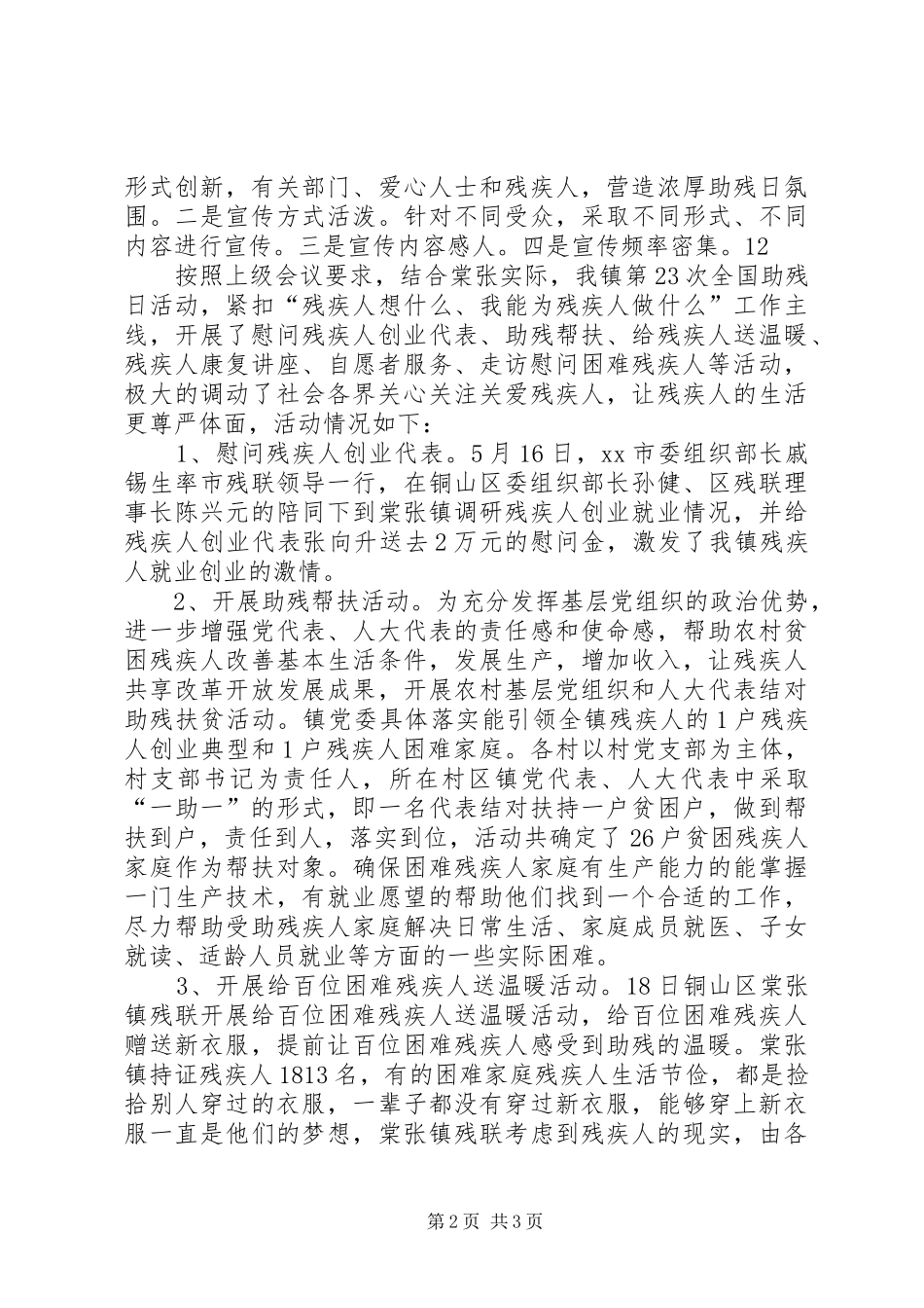 2024年乡镇助残日活动总结_第2页