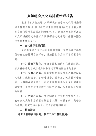 2024年乡镇综合文化站排查治理报告