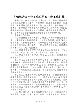 2024年乡镇综治办半年工作总结和下步工作打算