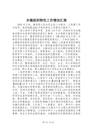 2024年乡镇组织特色工作情况汇报