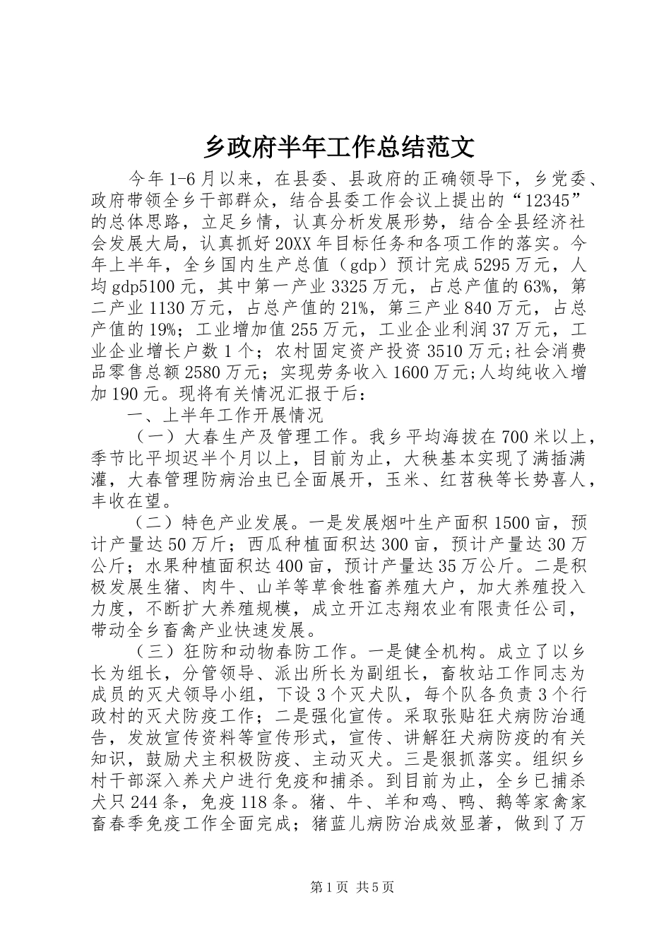 2024年乡政府半年工作总结范文_第1页