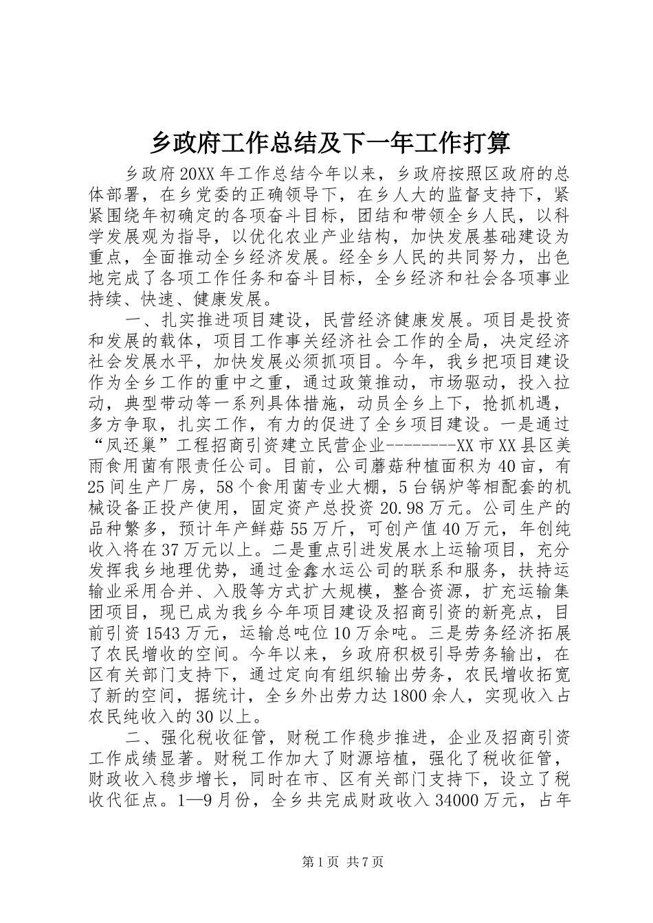 2024年乡政府工作总结及下一年工作打算_第1页