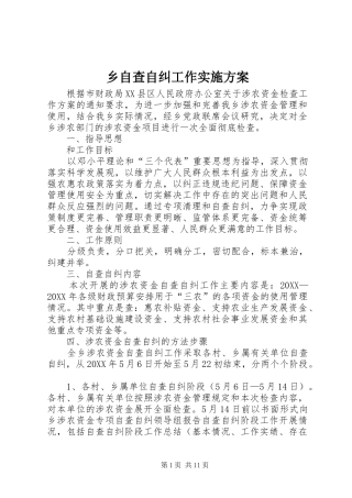 2024年乡自查自纠工作实施方案