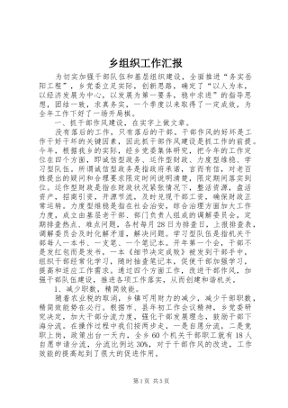 2024年乡组织工作汇报