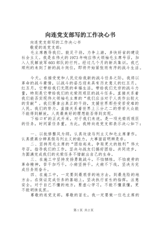 2024年向连党支部写的工作决心书