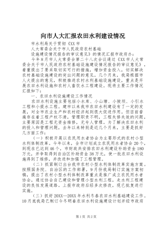 2024年向市人大汇报农田水利建设情况
