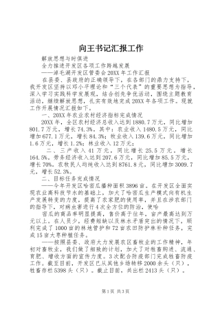 2024年向王书记汇报工作