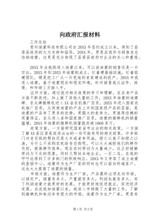 2024年向政府汇报材料