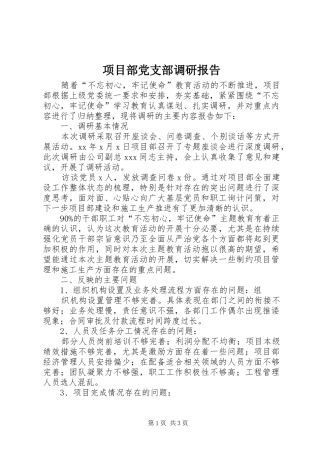 2024年项目部党支部调研报告