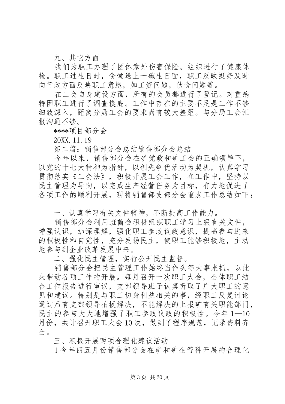 2024年项目部分会工作总结_第3页