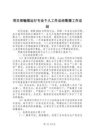 2024年项目部输煤运行专业个人工作总结数媒工作总结