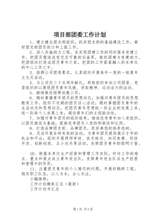 2024年项目部团委工作计划