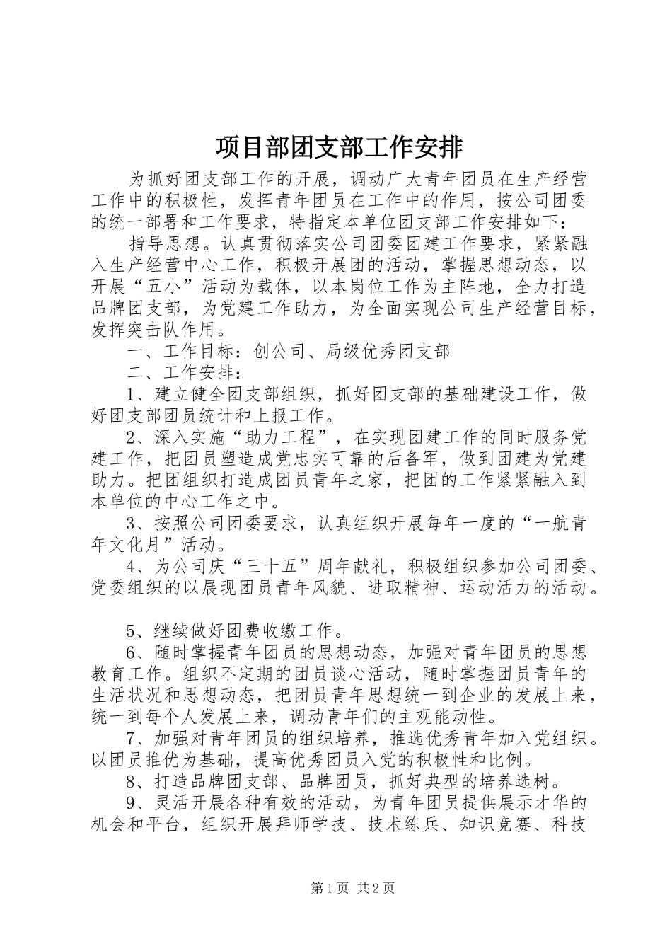 2024年项目部团支部工作安排_第1页