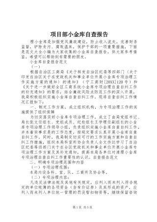 2024年项目部小金库自查报告