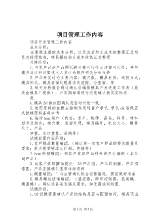 2024年项目管理工作内容