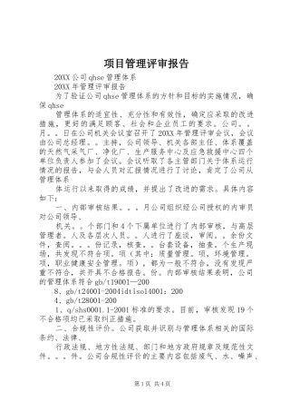 2024年项目管理评审报告