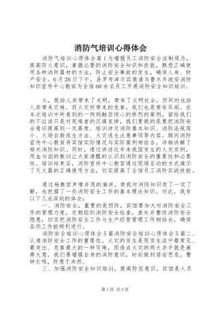 2024年消防气培训心得体会