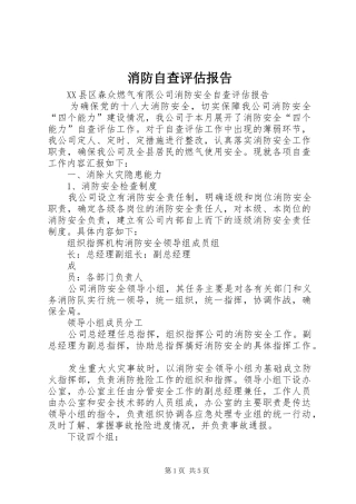 2024年消防自查评估报告