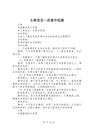 2024年小班安全在家中玩耍