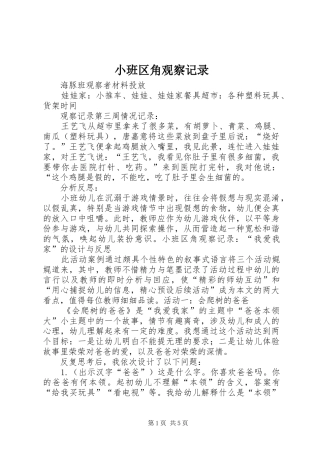 2024年小班区角观察记录