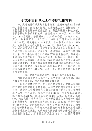 2024年小城市培育试点工作考核汇报材料