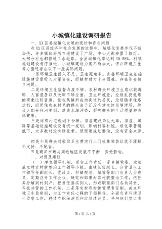 2024年小城镇化建设调研报告