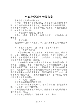 2024年小海小学写字考核方案