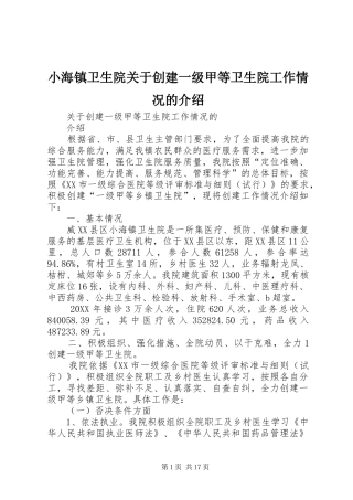 2024年小海镇卫生院关于创建一级甲等卫生院工作情况的介绍