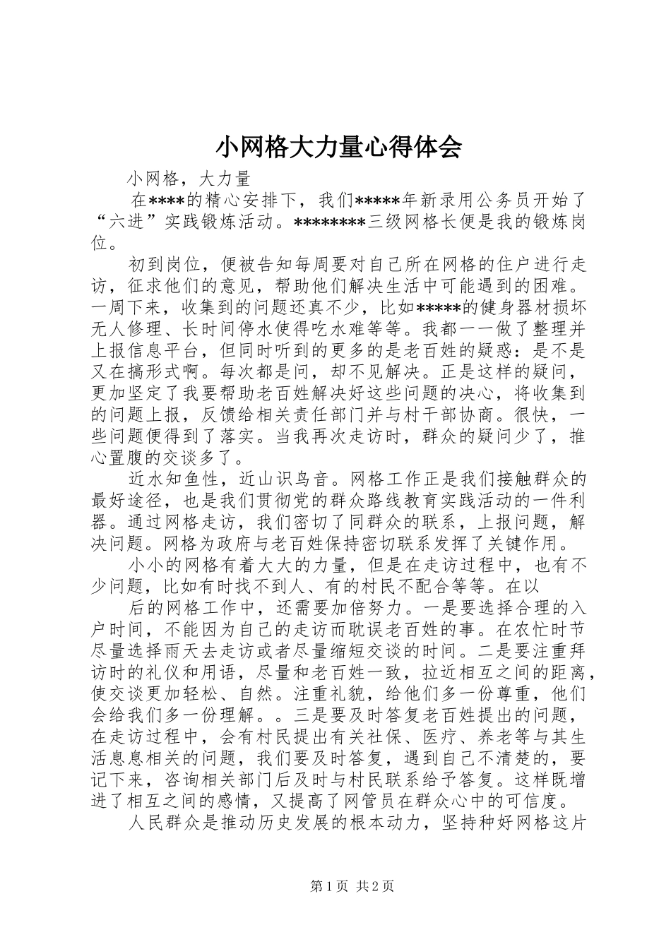 2024年小网格大力量心得体会_第1页